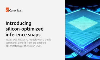 Introducing silicon-optimized inference snaps