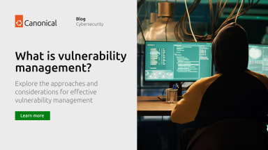 What is vulnerability management?