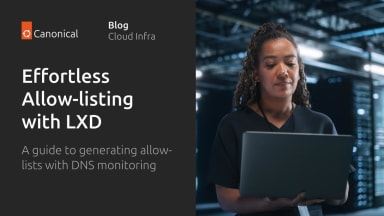 Generating allow-lists with DNS monitoring on LXD