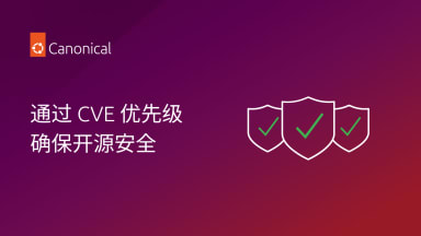 通过 CVE 优先级确保开源安全