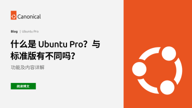 什么是 Ubuntu Pro？与标准版有不同吗？功能及内容详解
