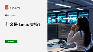 什么是 Linux 支持？
