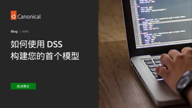 如何使用 DSS 构建您的首个模型