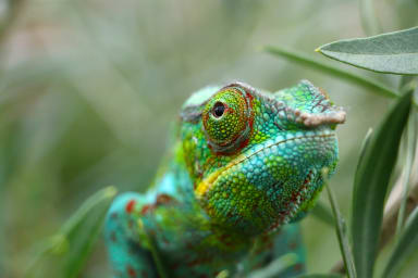 SUSE Enterprise Storage: What next?