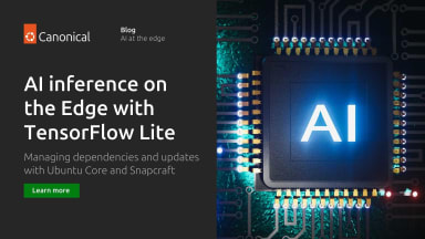 AI Inference on the Edge with TensorFlow Lite