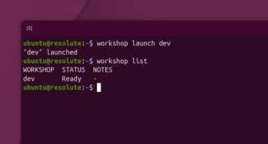 全新工具 Workshop 上线：一条命令即可在 Ubuntu 中启动沙箱开发环境