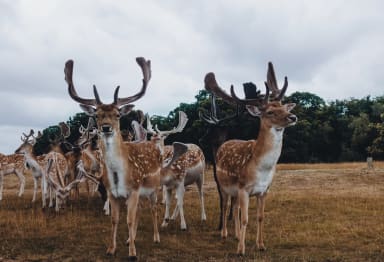 Fresh Snaps from December 2018