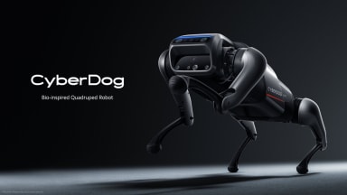 CyberDog: a four legged robot revolution with Ubuntu