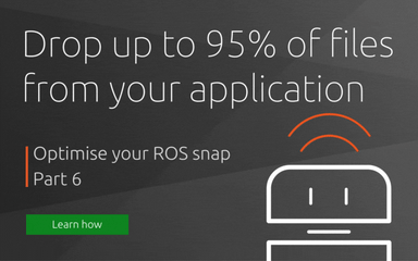 Optimise your ROS snap – Part 6