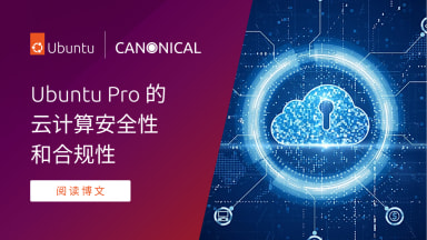 Ubuntu Pro 的云计算安全性和合规性