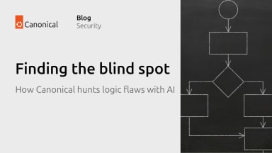 Finding the blind spot: How Canonical hunts logic flaws with AI