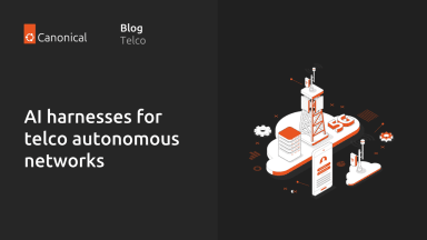 AI harnesses for telco autonomous networks