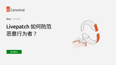 Livepatch 如何防范恶意行为者？