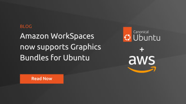 Unleash the power of GPU: Ubuntu WorkSpaces now support Graphics G4dn bundles
