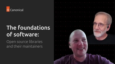 The foundations of software: open source libraries and their maintainers