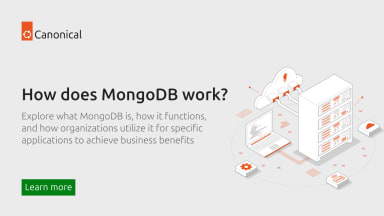 How does MongoDB work?