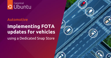 Implementing FOTA updates for vehicles using a Dedicated Snap Store