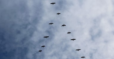 What is cloud repatriation?