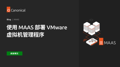 使用 MAAS 部署 VMware 虚拟机管理程序