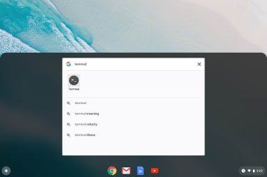 Using LXD on your Chromebook