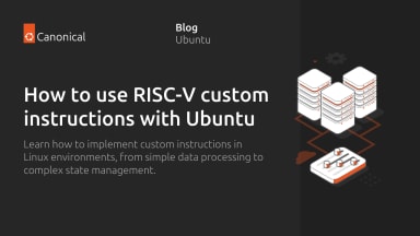 How to use RISC-V custom instructions with Ubuntu