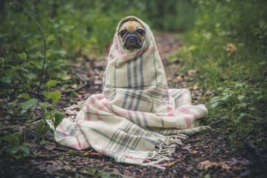 Work smart, not hard – fun applications to help you do less in your day