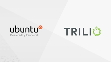 OpenStack Charms 20.08 – TrilioVault, Arista and more