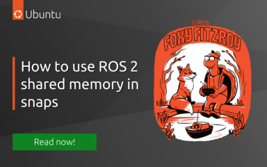 How to use ROS 2 shared memory in snaps