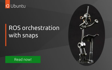 ROS orchestration with snaps