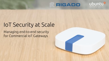IoT Security at Scale: Managing end-to-end security