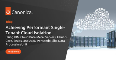 Achieving Performant Single-Tenant Cloud Isolation with IBM Cloud Bare Metal Servers, Ubuntu Core, Snaps, and AMD Pensando Elba Data Processing Unit