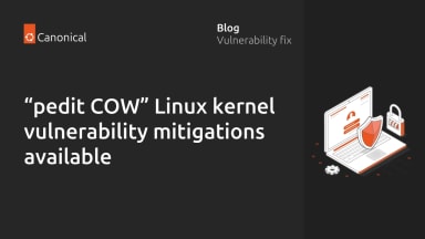 pedit COW kernel local privilege escalation vulnerability mitigations