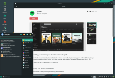 Manjaro, snaps and the spirit of collaboration