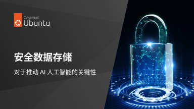 安全数据存储对于推动 AI 人工智能的关键性