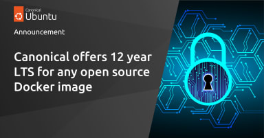 Canonical offers 12 year LTS for any open source Docker image