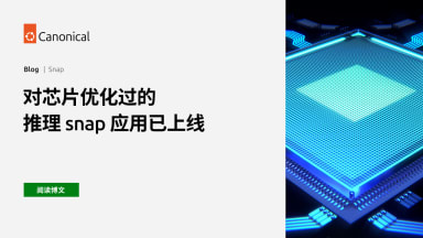 对芯片优化过的推理 snap 应用已上线