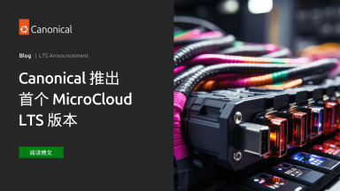 Canonical 推出首个 MicroCloud LTS 版本