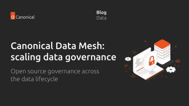 Canonical Data Mesh: scaling data governance
