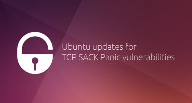 Ubuntu updates for TCP SACK Panic vulnerabilities