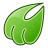Midori Web Browser