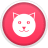 music-kitten