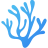 codium
