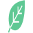 Leaf Markdown Viewer