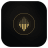 AIVPlayer