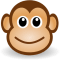 dbtarzan