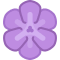 Spagyrik Datenbank Passiflora