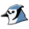 bluej