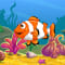 Mad Fish
