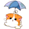 raincat
