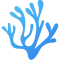 codium